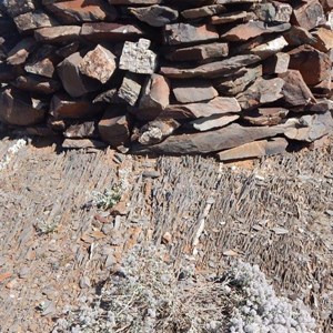 Quartze stripes at the base of rock cairn, Decoy Hill.