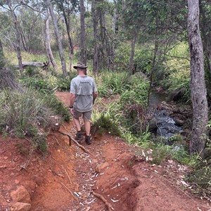 Whistle Pipe Gully Walk