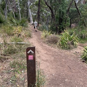 Whistle Pipe Gully Walk