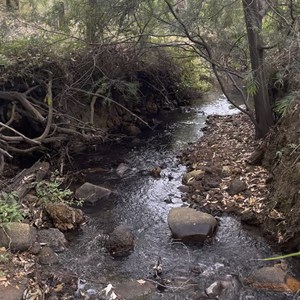 Whistle Pipe Gully Walk