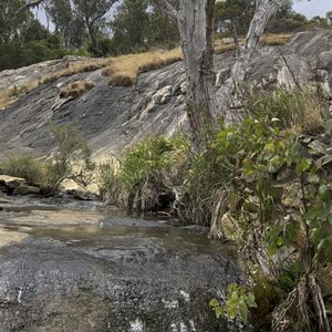 Whistle Pipe Gully Walk