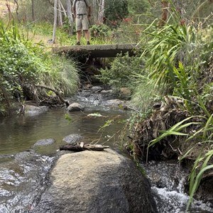 Whistle Pipe Gully Walk