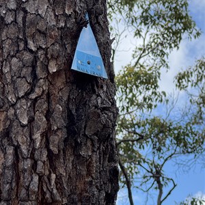 Rocky Pool Circuit Hike