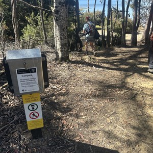 Fergy's Paddock (Hikers Camp)