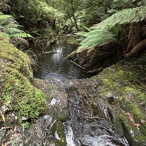Hogarth Falls