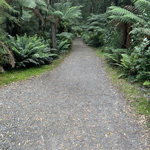 Hogarth Falls Track