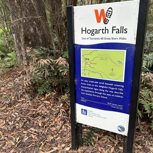 Hogarth Falls Track