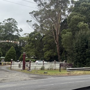 Hogarth Falls Track
