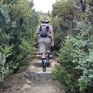 Cape Hauy Walking Track