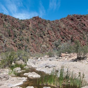 Weetootla Gorge-Hells Gate (Oct 2016)