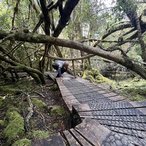 Creepy Crawly Nature Walk