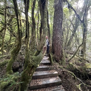 Creepy Crawly Nature Walk