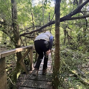 Creepy Crawly Nature Walk