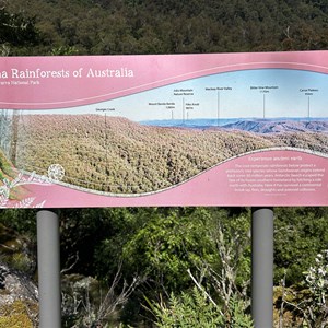 Beech Lookout