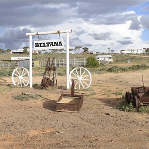 Beltana