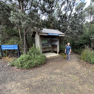 Waratah Lookout