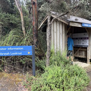 Waratah Lookout