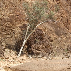 Chambers Gorge SA