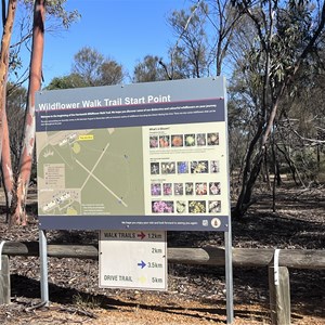 Wildflower Walk Trail