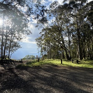Dingo Gate