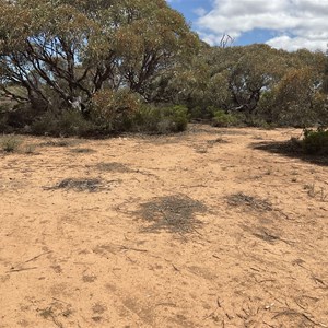 Bush Camp