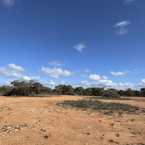 Bush Camping