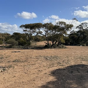 Bush Camping