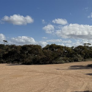 Bush Camping