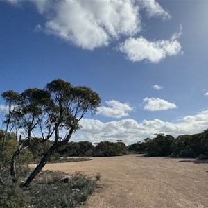 Bush Camping