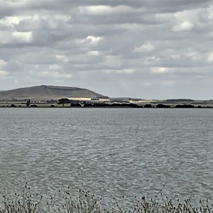 Lake Burrumbeet Foreshore Camp