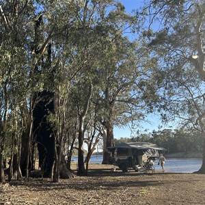 Tree Camp