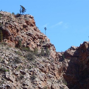 Brachina Gorge