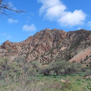 Brachina Gorge