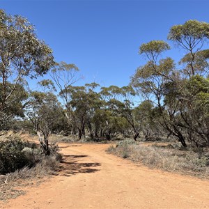 Prungle Mail Rest Area