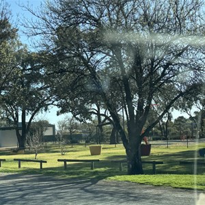 Lions Park