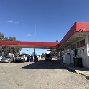 Shell & Ampol