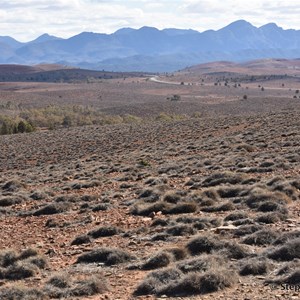 Stokes Hill Lookout - 3 years of drought September 2019