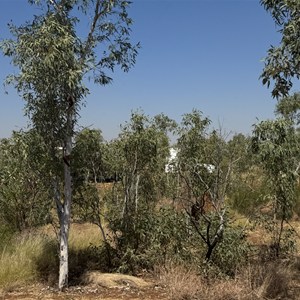 Rest Area - Mueller Ranges