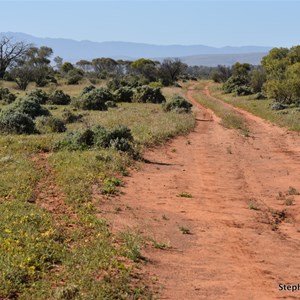 Western Plain 