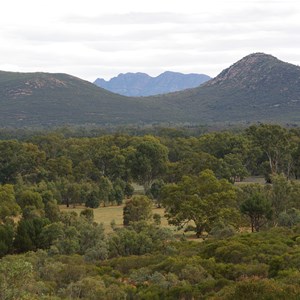 Wilpena Pound 