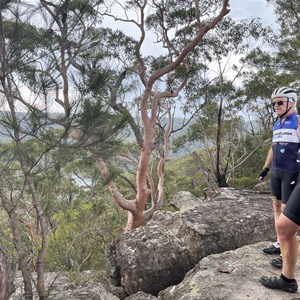 Cowan Track Lookout