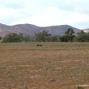 Mount Stephen