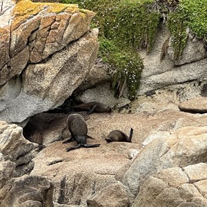 Wilsons Promontory Cruises