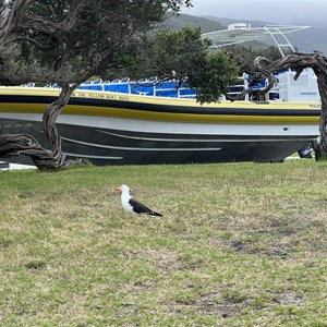 Wilsons Promontory Cruises