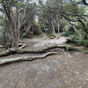 South Cape Bay Campsite