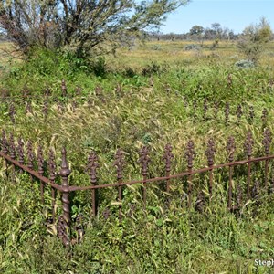 Bone Family Graves