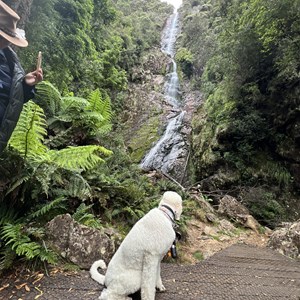 Montezuma Falls Car Park