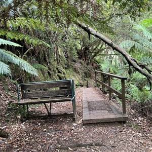 Montezuma Falls