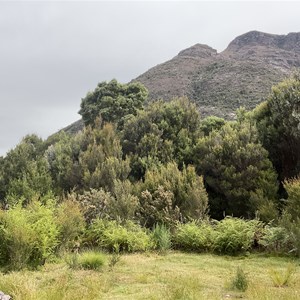 Lake Burbury Foreshore camping