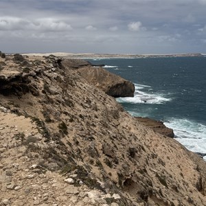 Cape Nuyts
